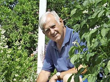 Karl Müller hockt neben seinen Kartoffelpflanzen. Die Mauer, die sein Grundstück zum Hang hin abstützt, hat sich verschoben.Foto: Ulrike Müller
