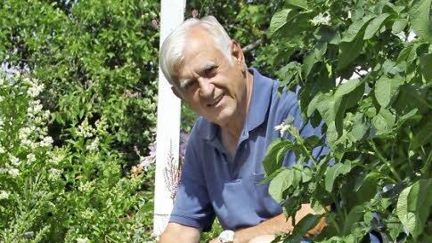 Karl Müller hockt neben seinen Kartoffelpflanzen. Die Mauer, die sein Grundstück zum Hang hin abstützt, hat sich verschoben.Foto: Ulrike Müller