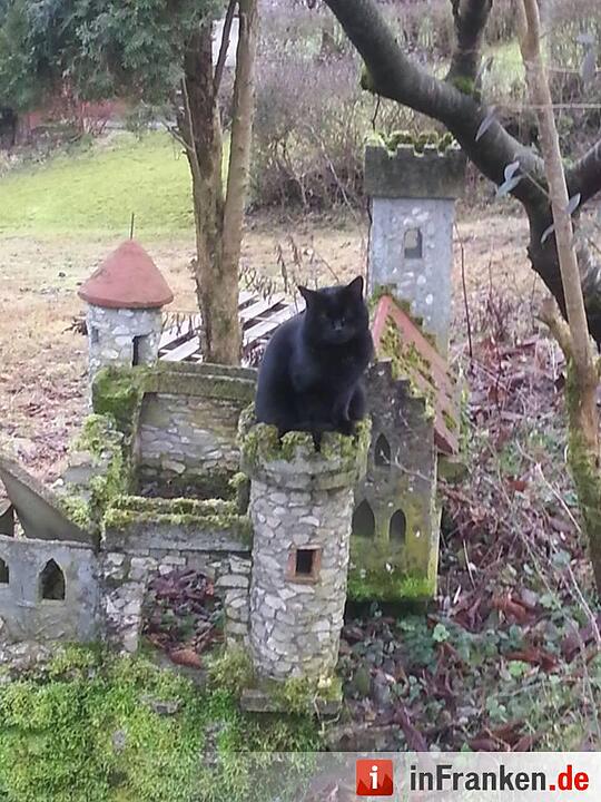 Foto: Simone Lipfert