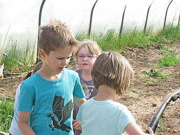 Im Gewächshaus lernen die Kinder des Kindergartens Augustenstift, wie pflanzliche Nahrung produziert wird.  Foto: Johannes Höllein