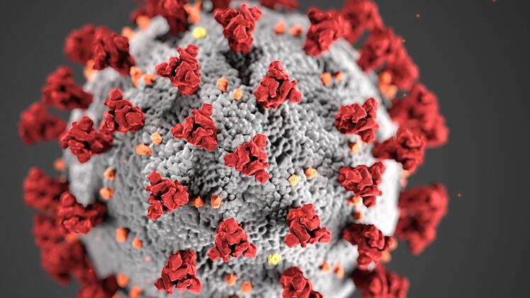 Gestern platzte eine Hauptverhandlung vor dem Amtsgericht Kulmbach, weil das Coronavirus dazwischenfunkte: Die wichtigste Zeugin, die vom Angeklagten gewürgt worden sein soll, wurde vom Gericht wieder heimgeschickt. Sie hatte bei der Einlasskontrolle offenbar angegeben, dass sie an Geruchs- und Geschmacksstörungen leide.  Symbolfoto: Archiv/dpa