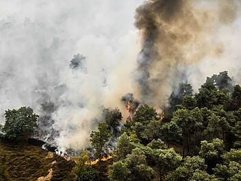 Brand im niederl&auml;ndischen Naturschutzgebiet De Rosmolen