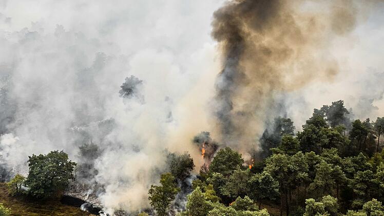 Brand im niederl&auml;ndischen Naturschutzgebiet De Rosmolen
