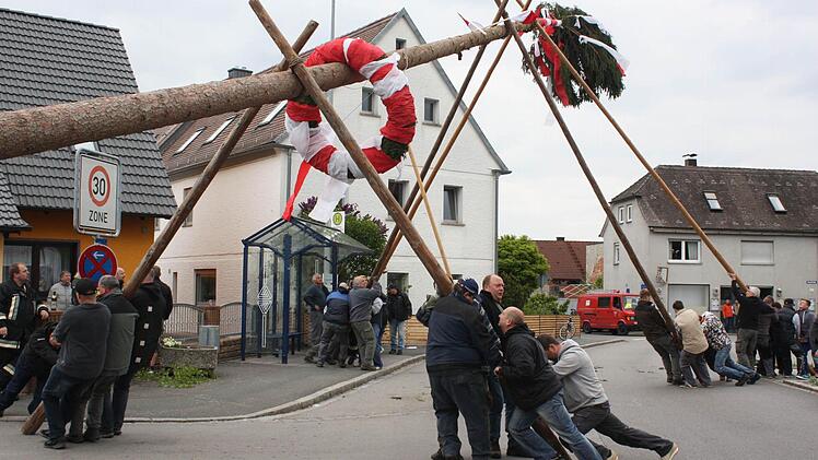 2014 wurde der Hemhofener Kerwabaum vorläufig zum letzten Mal in der Ortsmitte aufgestellt. Foto: Archiv/Sonja Werner