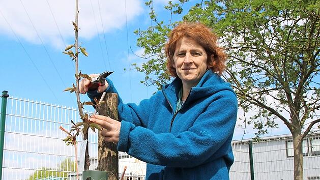 Carola Nitsch, die Vorsitzende des Obst- und Gartenbauvereins in Stettfeld, k&uuml;mmert sich um die neu angesetzten Obstb&auml;ume.  Fotos: Franziska Rieger