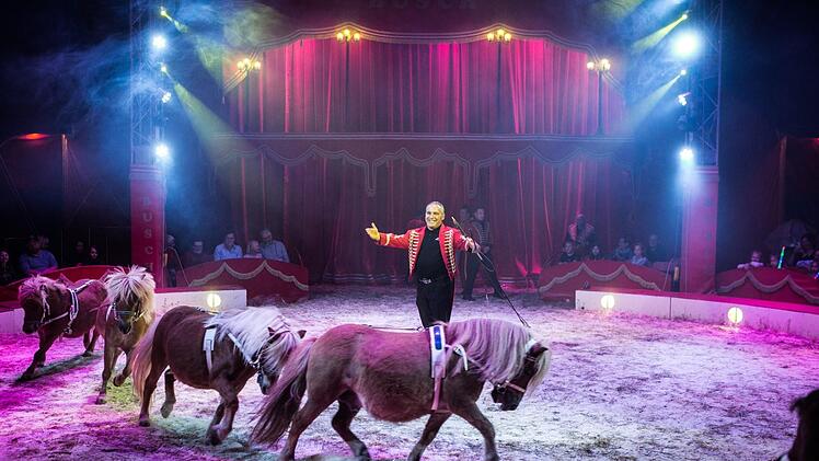 Circus Paul Busch gastiert in Bad Kissingen.