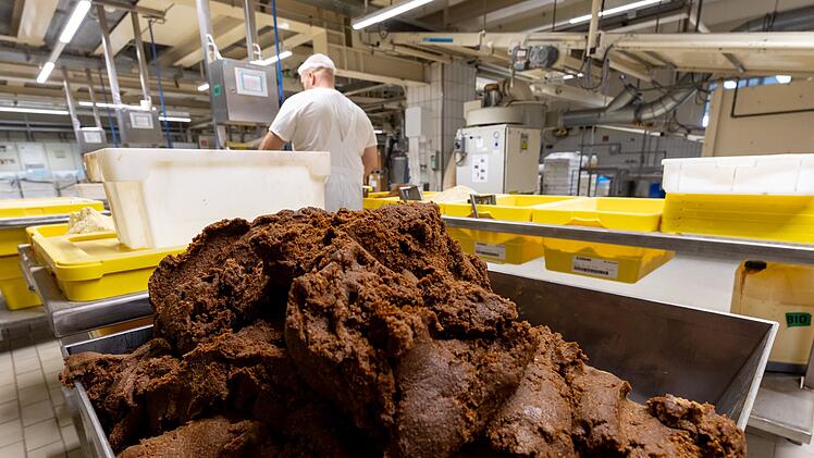 Lebkuchen-Produktion
