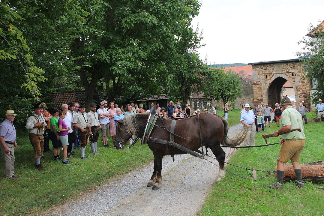 Kreisheimattag Bimbach