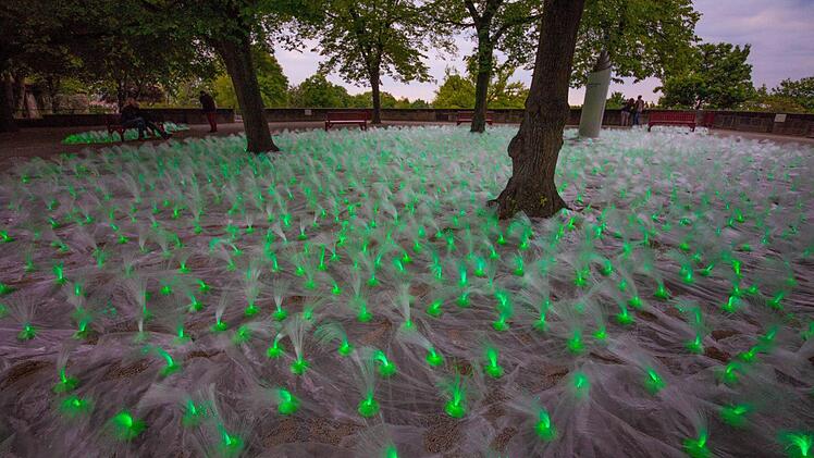 Kunstbeleuchtung am Samstag auf der Kaiserburg im Burggarten. Ach dieses Jahr zog die Veranstaltung Blaue Nacht viele Besucher an. Foto: News5 / Grundmann