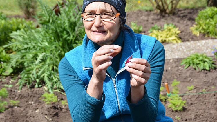 Praxisstunde für Gartenbau im Hausgarten Foto: Dagmar Besand
