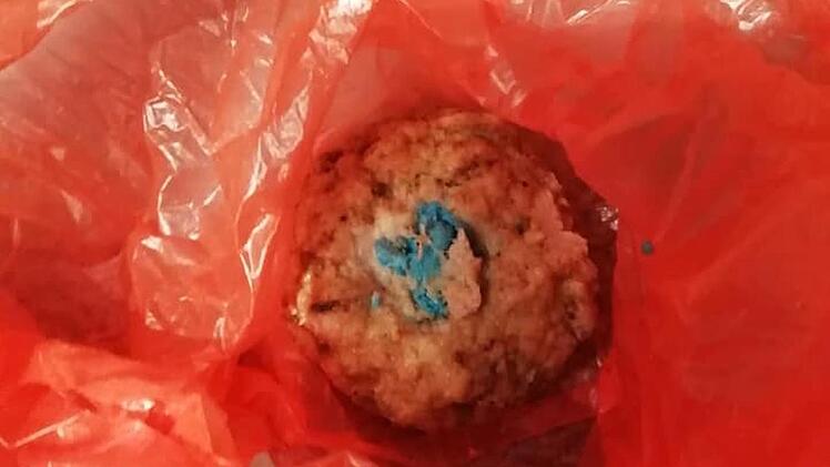 Die Fleischbällchen sind mit einer blauen Flüssigkeit versetzt. Foto: privat