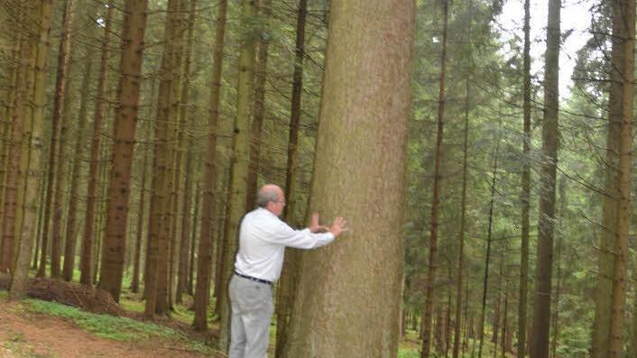 Forstdirektor Michael Schneider steht am Stamm einer etwa 30 Meter hohen Alttanne. Foto: Karl-Heinz Hofmann