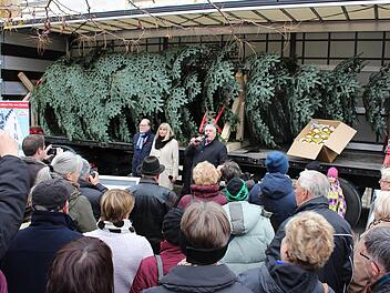 Einmal einen Blick auf den Baum erhaschen: Oberbürgermeister Norbert Tessmer, Bürgermeisterin Birgit Weber und Bundestagsabgeordneter Hans Michelbach (vor dem Baum, von rechts) verabschiedeten den Transport offiziell.  Foto: Ulrike Nauer