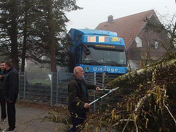Endstation Baum: Am Mittwochmorgen kam ein Laster bei Oberzinkenflur (Neudrossenfeld) von der B 85 ab und raste in einen Vorgarten. Es wurde niemand verletzt. Foto: Horst Wunner