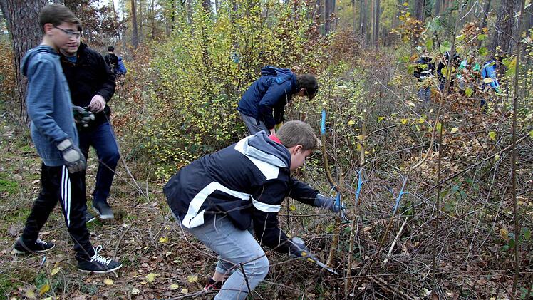 Realschüler bei der Waldarbeit Richard Sänger