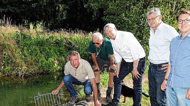 Pressemitteilung: Der Bibermönch leistet ganze Arbeit