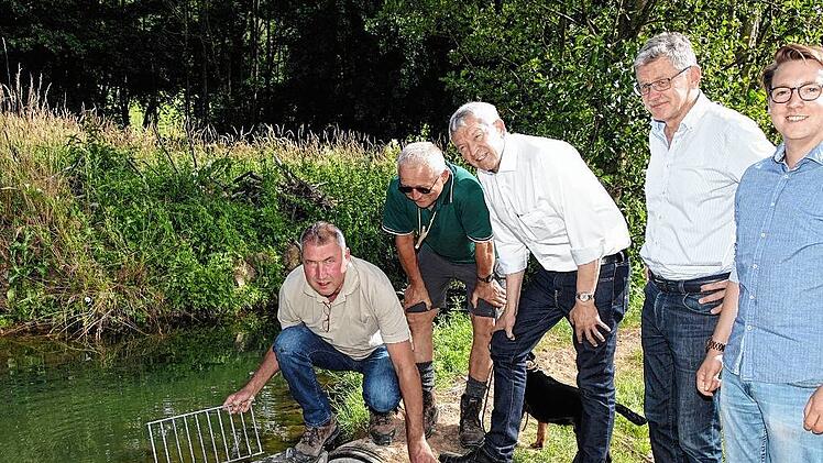 Pressemitteilung: Der Bibermönch leistet ganze Arbeit