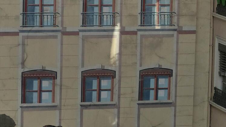 Täuschend echt: Die ganze Häuserwand in Lyon mit den Raubkatzen ist nur aufgemalt.