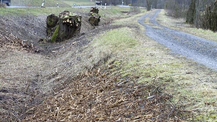 Baumschnitt am Radweg von Aumühle Foto: Bettina Knauth