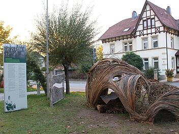 Wie ineinander gekämmte Haarsträhnen wirken die Weidenruten bei diesem Objekt, das einen Hingucker in der Kronacher Straße darstellt. Fotos: Popp