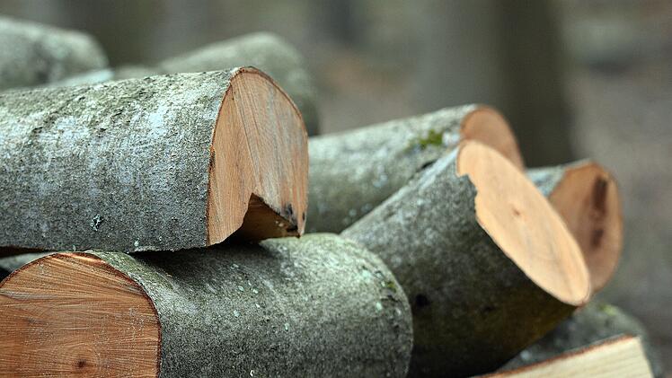Symbolbild: Holz, Wald