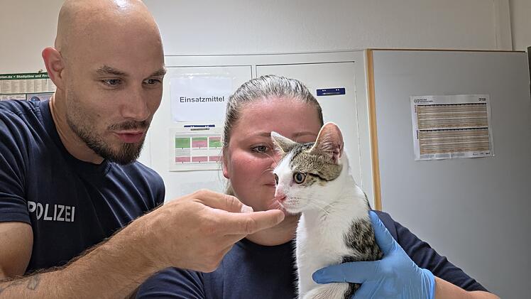 Bamberg: Katze an Bahnhof ausgesetzt - Polizei k&uuml;mmert sich liebevoll