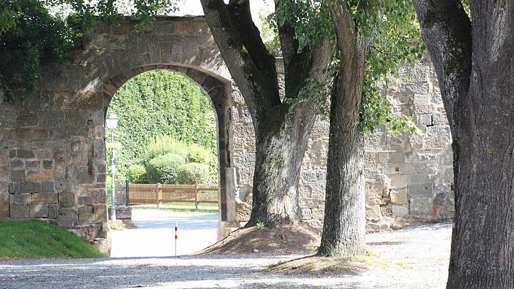 Bürgermeister Dauer unterstrich während der Stadtratssitzung die vorgabengetreue Ausführung der Kastenhof-Zufahrt. Eine Absage erteilte er dem Vorschlag, die dem Tor nächstgelegene Linde zu fällen.  Foto: Lutter
