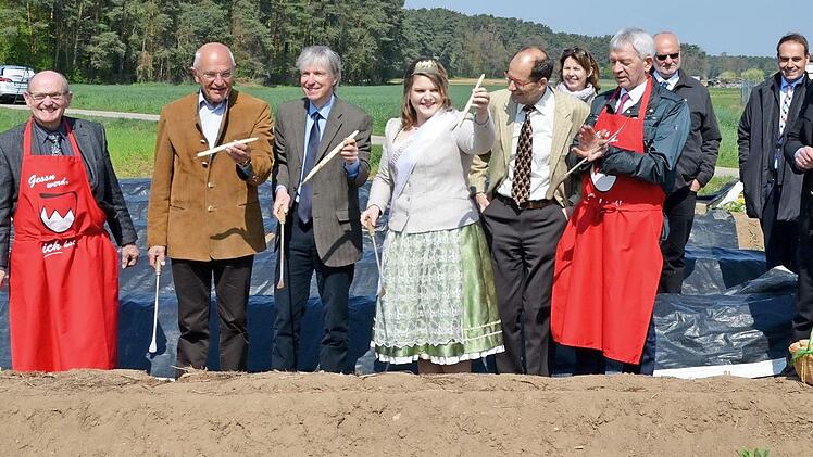 Alle Ehrengäste durften mal selbst Spargel stechen und freuten sich über die Ausbeute. Foto: Andrea Spörlein