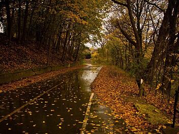 Der lang ersehnte Regen kommt. In Franken kommt der Wetterumschwung. Symbolfoto: pixabay.com