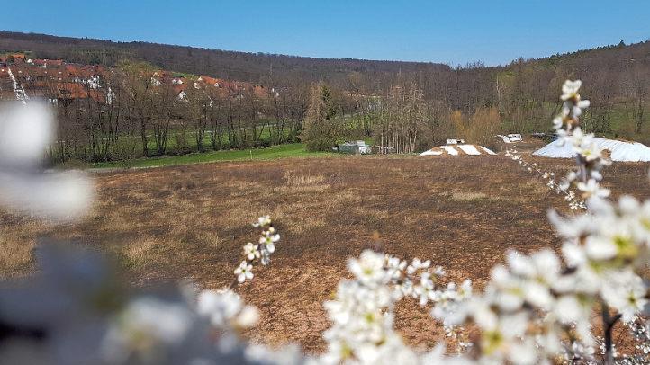 Auf dieser Fläche im Norden des Baugebiets "Mannlehen" soll das Seniorenpflegeheim entstehen. Im Hintergrund links erkennt man hinter der Baumreihe die Coburger Straße und Siedlung am Steinberg. Die Lagerplätze rechts hinten säumen die Zufahrt nach Lützelebern.