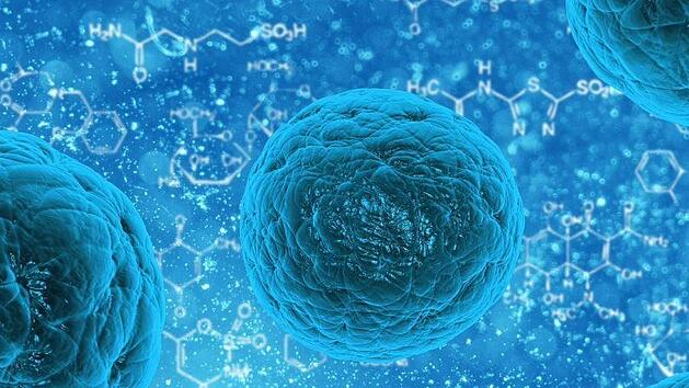 Meningitis kann durch verschiedene Bakterien und Viren ausgelöst werden. Wir erklären die Symptome und sagen Ihnen, wann Sie unbedingt zum Arzt gehen sollten. Symbolfoto: pixabay/PublicDomainPictures