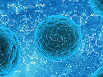 Meningitis kann durch verschiedene Bakterien und Viren ausgelöst werden. Wir erklären die Symptome und sagen Ihnen, wann Sie unbedingt zum Arzt gehen sollten. Symbolfoto: pixabay/PublicDomainPictures