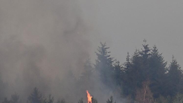Waldbrand im H&uuml;rtgenwald