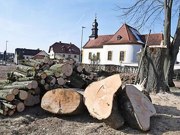 Die Fällung der Linden- und Nussbäume am alten Schulhaus war für Anwohner Karlheinz Pfohlmann eine "Nacht- und Nebel- Aktion".  Foto: R. Rinklef