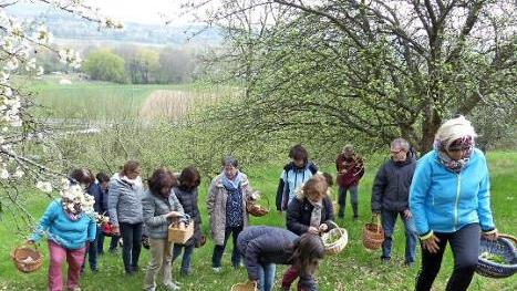 Kulinarische Entdeckungstour durch die Kr&auml;uterwelt  Foto: Stefanie Hellmann