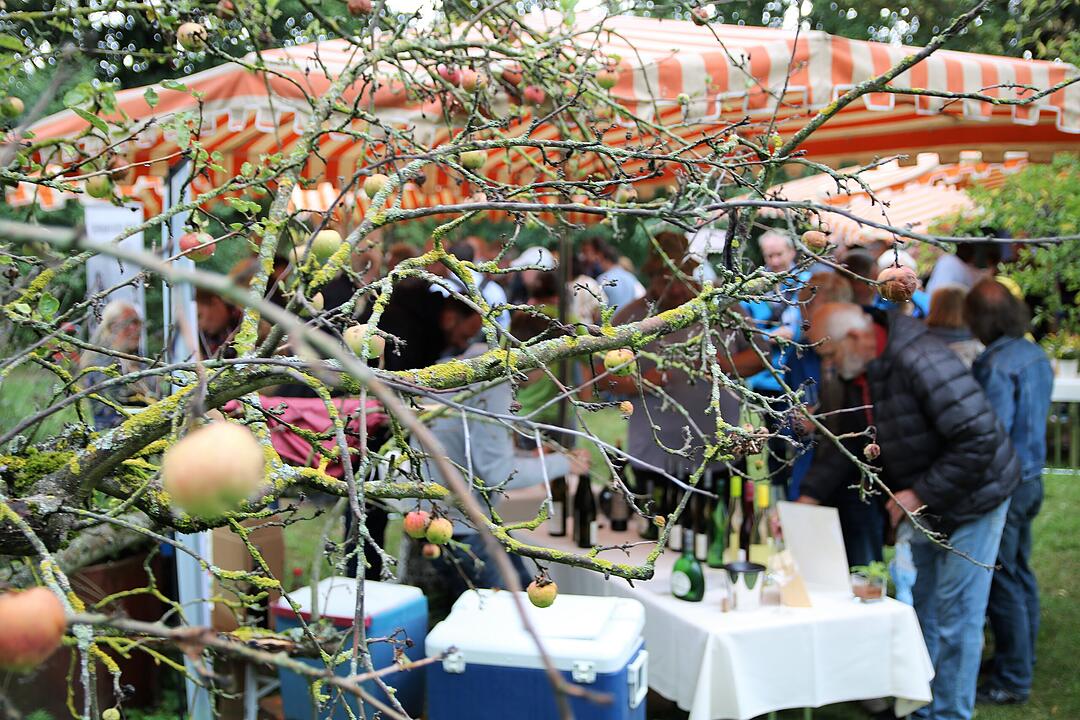 &Ouml;kowein-Pr&auml;sentation