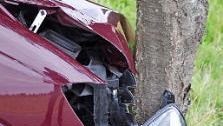 Vermutlich wegen eines gesundheitlichen Problems prallte ein Fahrer mit seinem Lieferwagen gegen einen Baum. Foto: Meißner