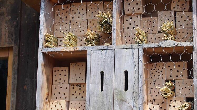 Die überarbeitete Nisthilfe nutzten schnell die ersten Wildbienen.