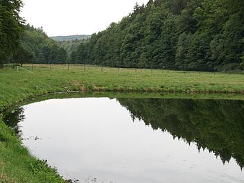 Erneut nicht einverstanden mit den geplanten Schutzzonen für den kompletten Talkessel der Wasserschutzgebietsausweisung Oberthulba erklärte sich der Gemeinderat Burkardroth.Gabriele Sell