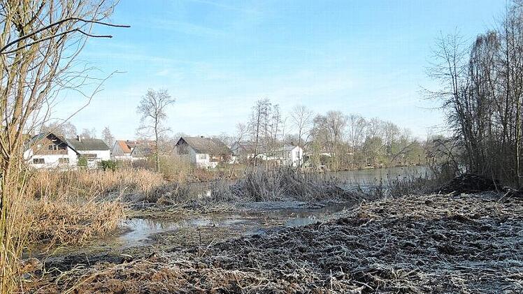Wer das Bild vorher kannte, weiß um die Menge der Gehölze, die hier entfernt wurden. Foto: Kolbet