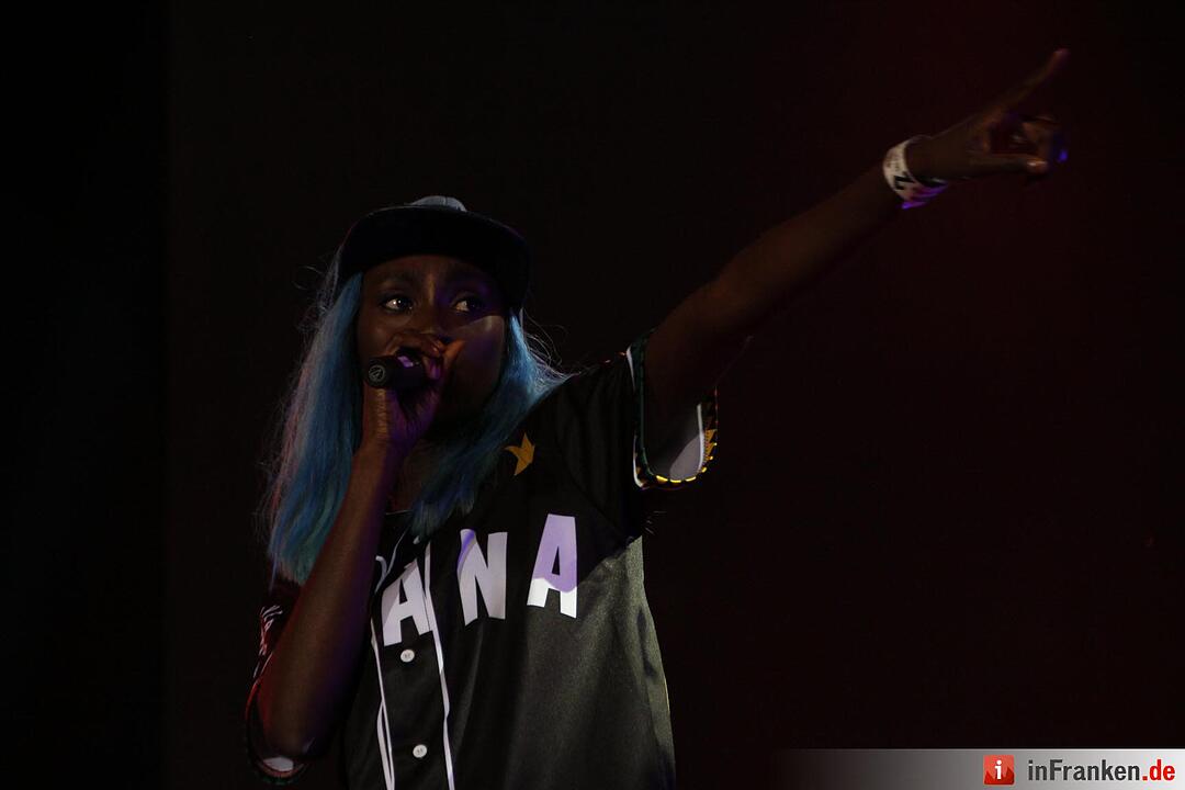 Rock im Park 2016 - Rudimental