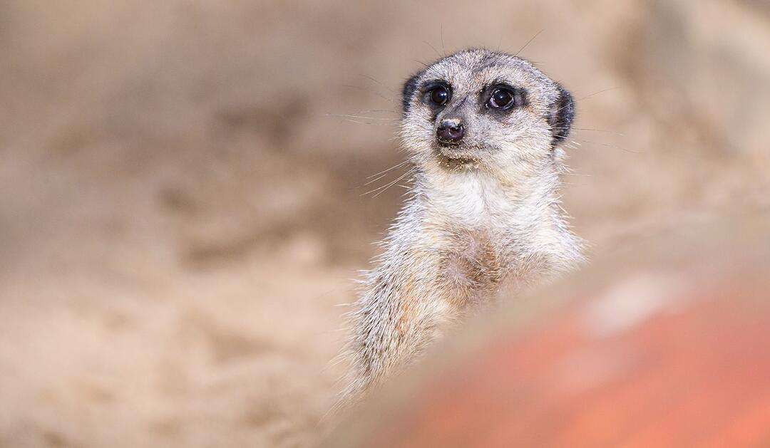 Fr&uuml;hlingswetter in Niedersachsen