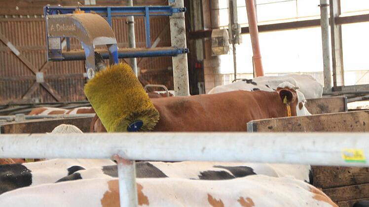 Impressionen vom Grundhof in Breitenbach Foto: Ulrike Müller