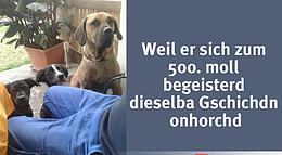 Vorschaubild