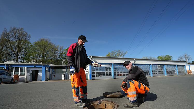 Stadt Bayreuth bittet um Mitarbeit bei Bekämpfung von Ratten