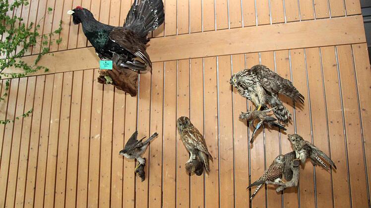 Foto: Richard Sänger