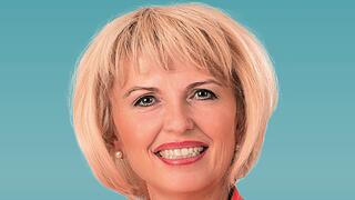 Direktkandidaten Bezirkstag