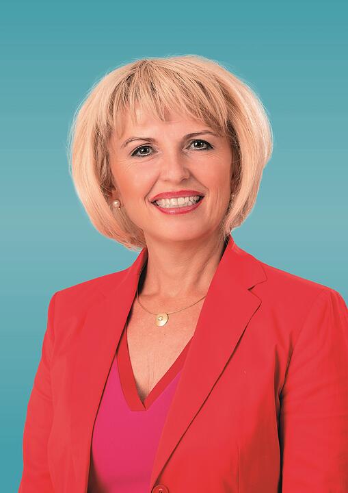 Direktkandidaten Bezirkstag