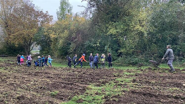 Die Drittkl&auml;ssler der Waldorfschule im Kulmbacher Land ziehen den Pflug von Bio-Bauer Christian Jundt.