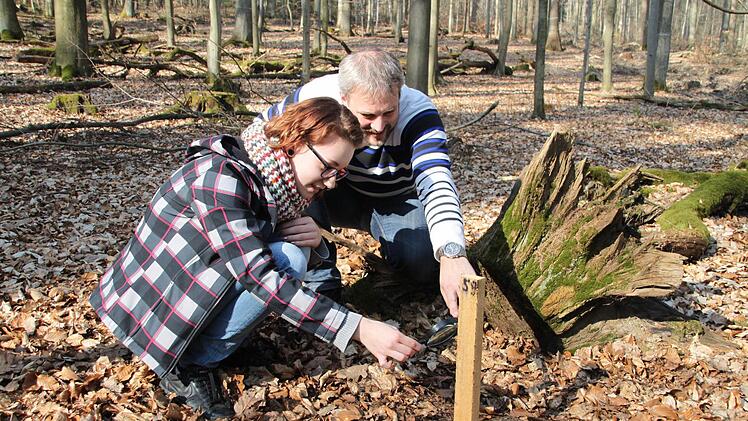 Einsatz im Jahr 2014: Laura Aßmann und Andreas Bock suchen die Lockstäbe nach Wildkatzen-Haaren ab.  Foto: Julia Schilling